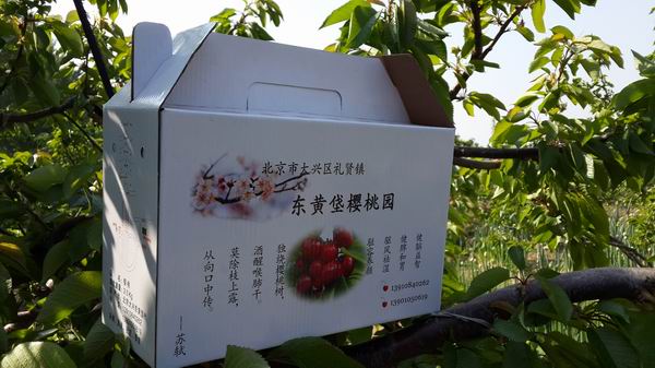 ����������ӣ�Ҳ�ժ԰�ٷ���վ