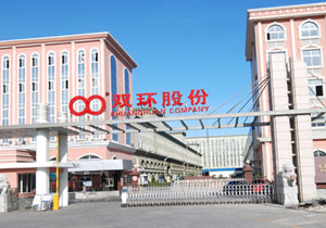 �㽭˫��������е�ɷ����޹�˾