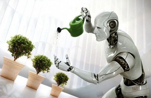 �й�����������������װ�ֻ���ô���ף�