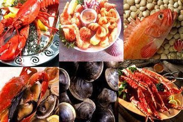 �㻹�ҳԳ������⼸���²�ʳ�