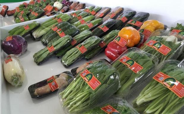 ͨ���Ʊ�����������è������̵Ĳ��