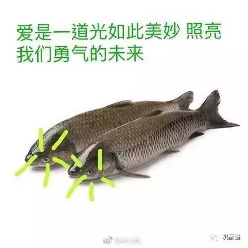 ��ʮ�꺮���ܸ�һ�����㡱��׼������!
