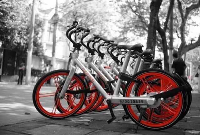 Ħ�ݵ���Ϊʲôû��͵��OFOС�Ƴ��򳣱�˽��